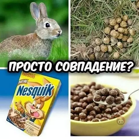 Смешная картинка №517067 Хм... ?