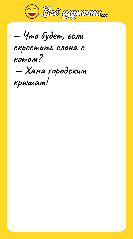 — Что будет, если скрестить слона с котом?<br/> — Хана
