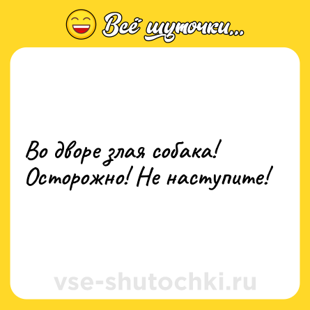 Шутка: Во дворе злая собака! Осторожно! Не наступите!