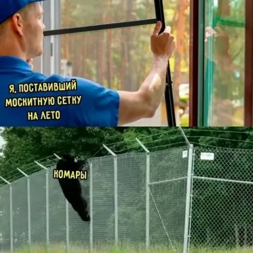 Комары в шоке от такой защиты! 🦟🛡️ - Я, поставивший москитную сетку на лето. Комары
