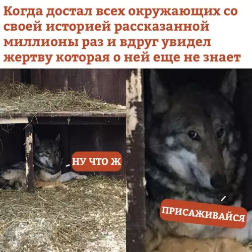 Смешная картинка №330197