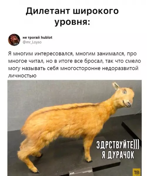 Смешная картинка №575880
