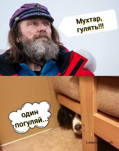 Смешная картинка №665261 картинки