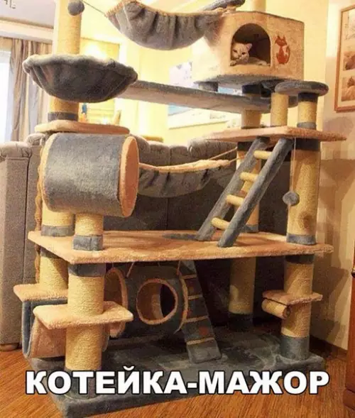 Смешная картинка №258717