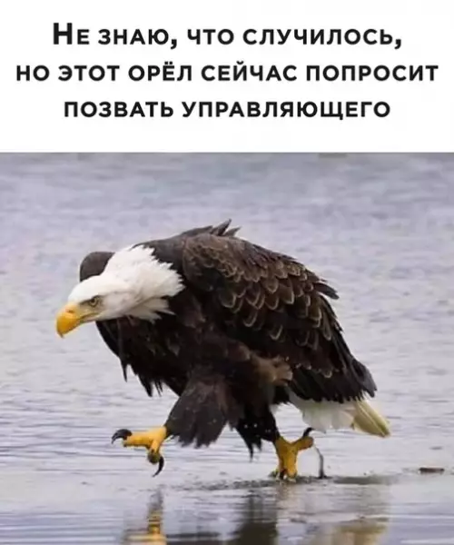 Смешная картинка №498502