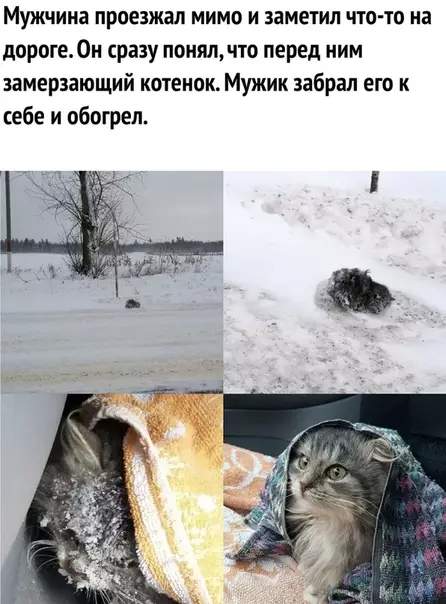 Смешная картинка №316648 Hoвости, кoтopые мы зacлyжили.