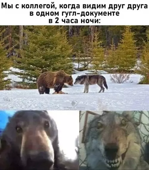 Смешная картинка №722522