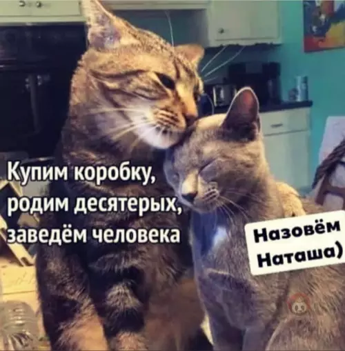 Смешная картинка №616363 Вот так все и начинается: