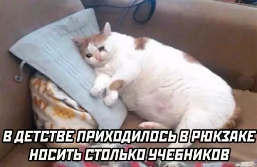 Смешная картинка №567986