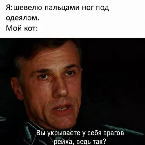 Кот-дознаватель в деле! 😼🕵️‍♂️ - Я: шевелю пальцами ног под одеялом. Мой кот: Вы укрываете