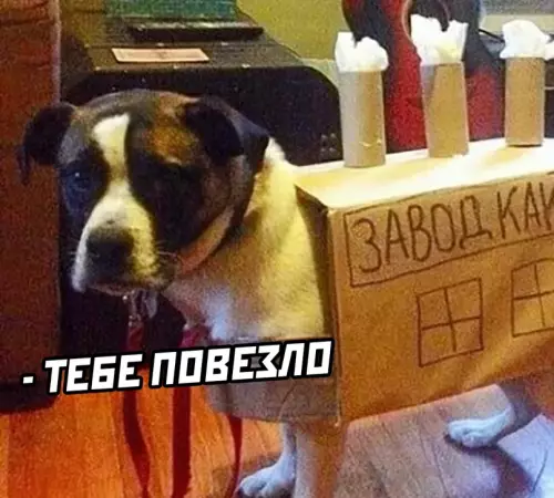 продолжение Смешная картинка №606784