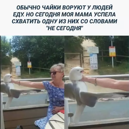 Смешная картинка №698850