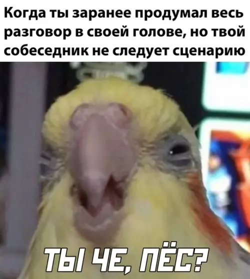 Смешная картинка №532245