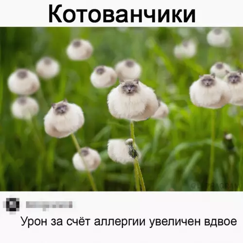 Смешная картинка №661483