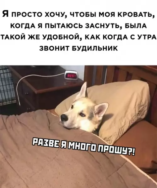 Смешная картинка №520546