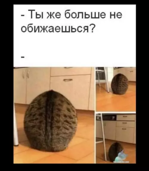 Смешная картинка №383493