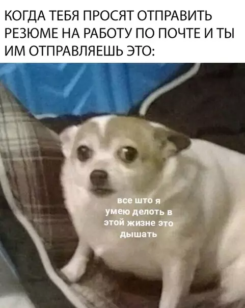 Смешная картинка №309149