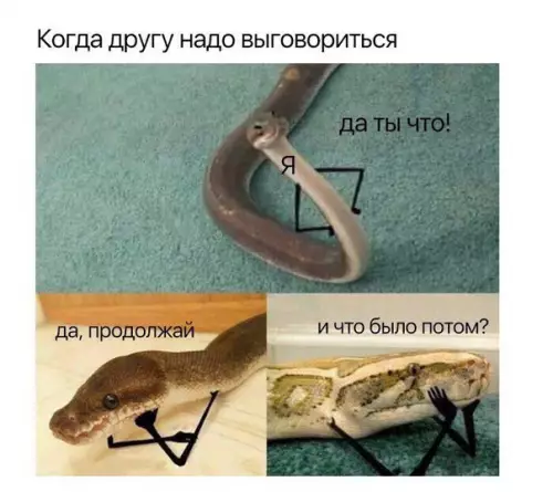 Смешная картинка №249493