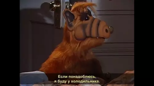 Смешная картинка №444455 Моя жизненная позиция: