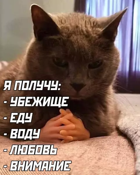 продолжение Смешная картинка №568508