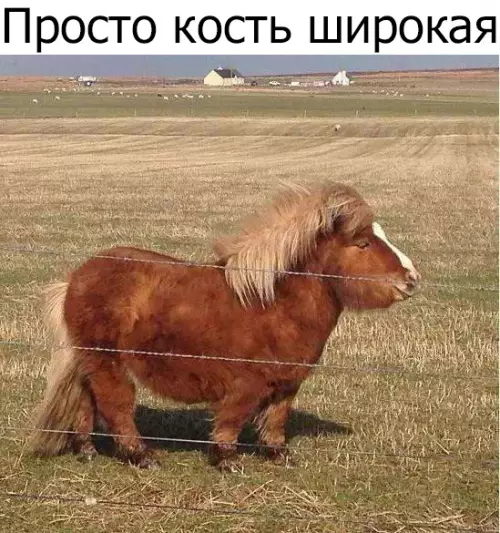 Смешная картинка №308435