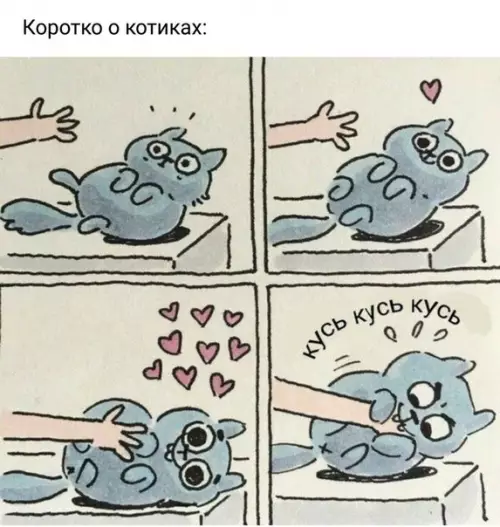 Смешная картинка №276824 коты