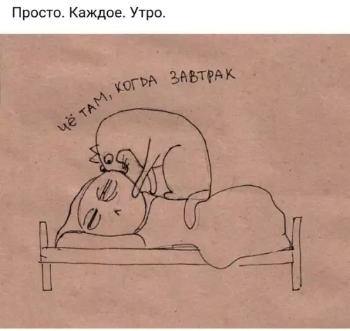 Смешная картинка №416921