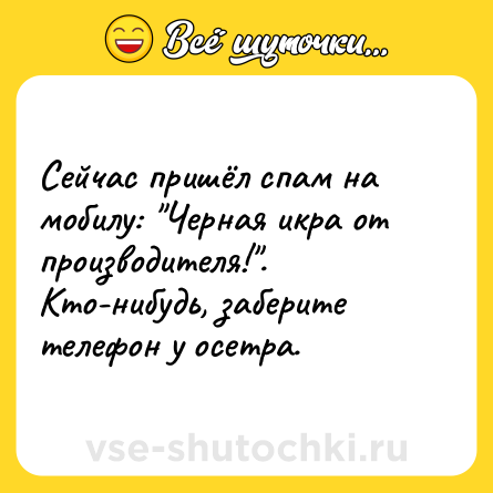 Шутка: Сейчас пришёл спам на мобилу: 