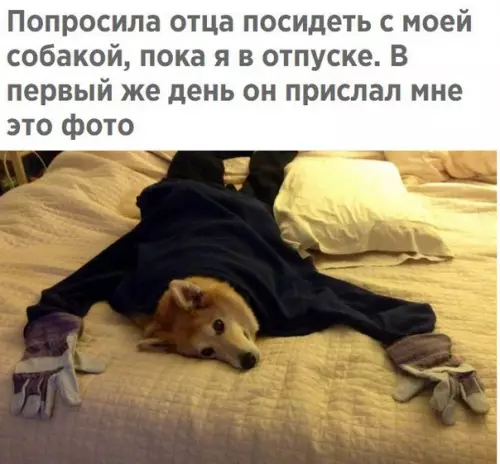 Смешная картинка №249764