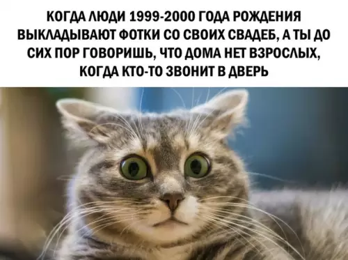 Смешная картинка №375547