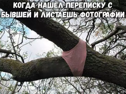 Смешная картинка №208339