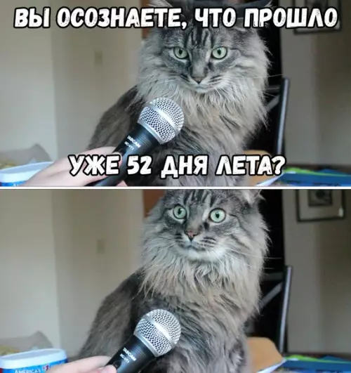 Смешная картинка №367433