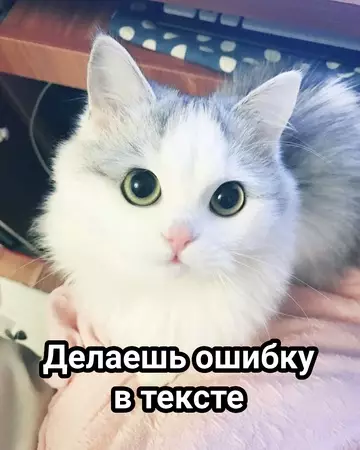 продолжение Смешная картинка №769440