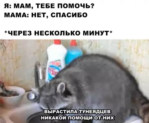 Смешная картинка №292672
