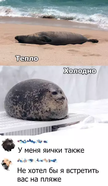 Смешная картинка №386789
