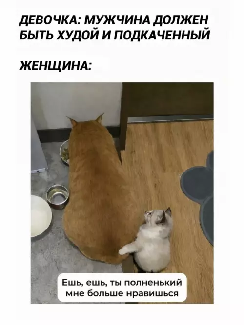 Идеал мужчины в глазах женщины - ДЕВОЧКА: МУЖЧИНА ДОЛЖЕН БЫТЬ ХУДОЙ И ПОДКАЧЕННЫЙ ЖЕНЩИНА: Ешь, ешь,