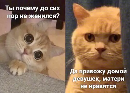 Смешная картинка №510797