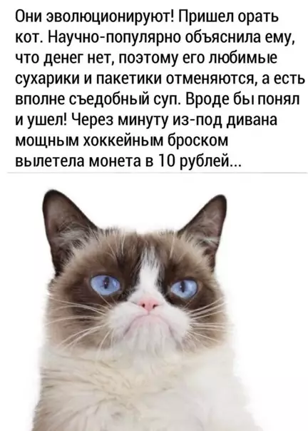 Смешная картинка №487325