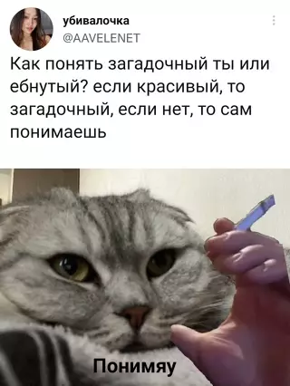 Смешная картинка №648747