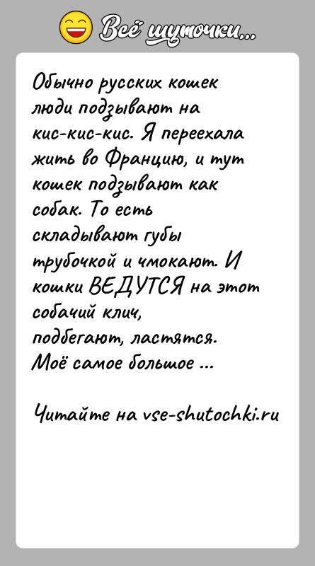 История: Обычно русских кошек люди подзывают на кис-кис-кис. Я переехала жить во Францию, и тут кошек подзывают как собак. То есть