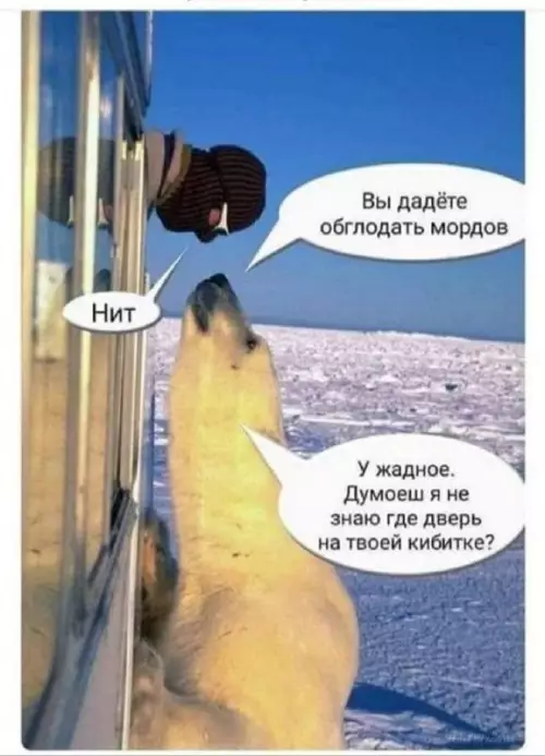 Смешная картинка №670032