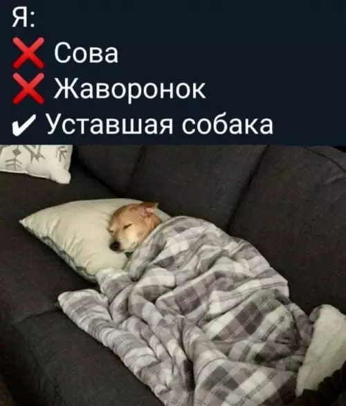 Смешная картинка №745678