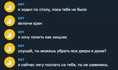 Смешная картинка №243635 Если бы кот мог написать мне: