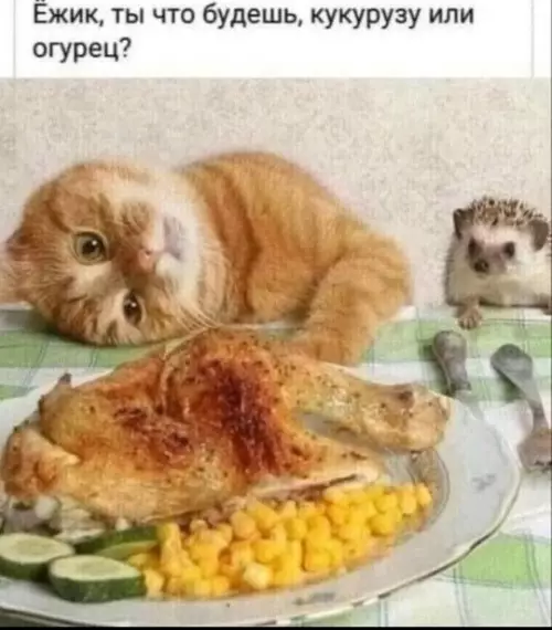 Смешная картинка №778393