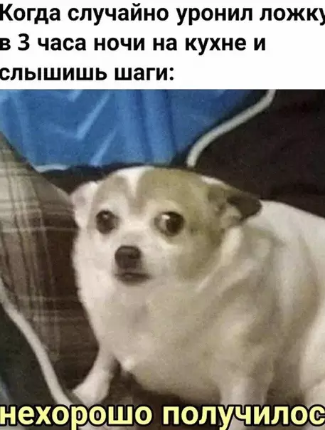 Смешная картинка №507191