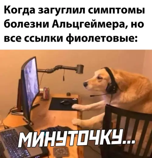 Смешная картинка №556693