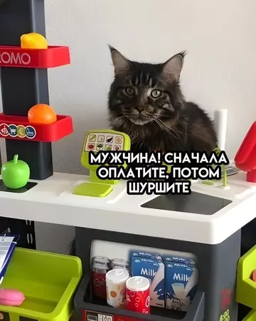 продолжение Смешная картинка №748024