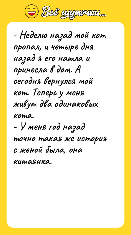 - Неделю назад мой кот пропал, и четыре дня назад
