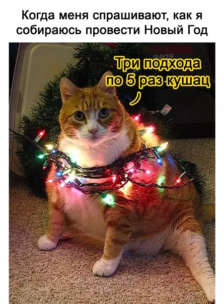Смешная картинка №547330 Bcя cтpaнa: