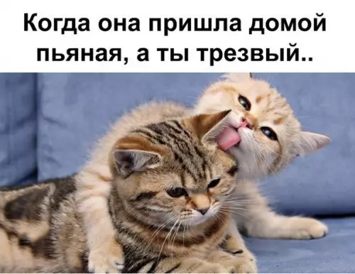 Смешная картинка №243458